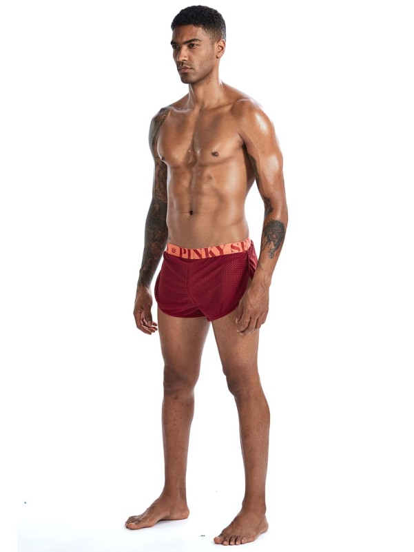 Men Letter Graphic Dolphin Hem Boxer Brief