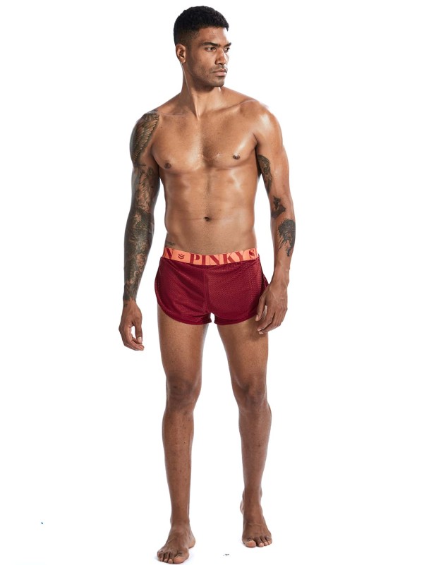 Men Letter Graphic Dolphin Hem Boxer Brief