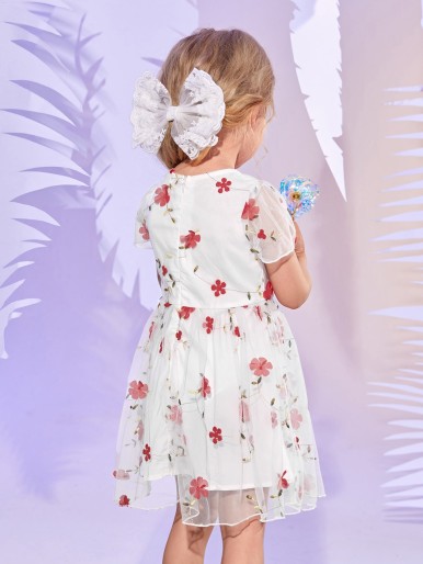 Toddler Girls Floral Embroidery Appliques Mesh Panel Dress