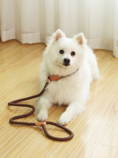 1pc Sturdy Pet Leash