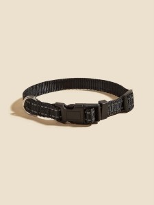 Plain Pet Collar