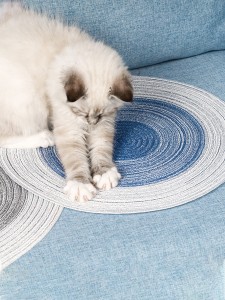 1pc Random Linen Pet Mat