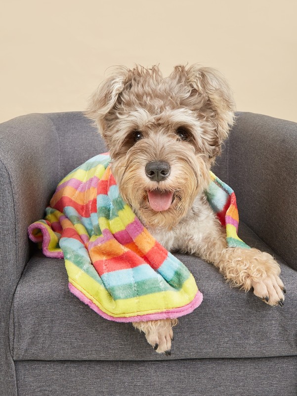 Rainbow Stripe Pet Blanket