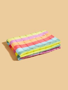 Rainbow Stripe Pet Blanket