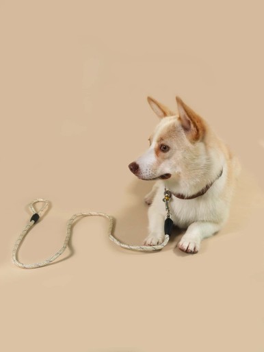 1pc Random Color Pet Leash