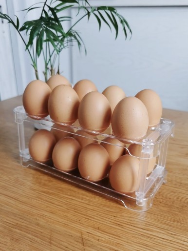 Double Layer Egg Storage Rack