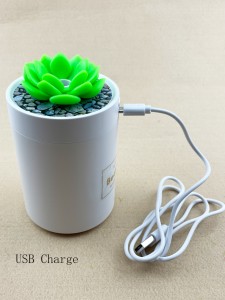 1pc Succulents Design Humidifier