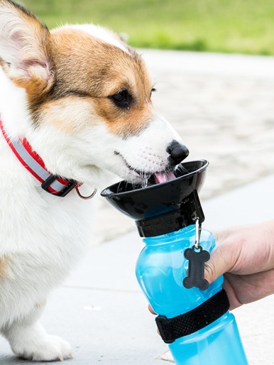1pc Dog Outdoor Portable Water Kettle