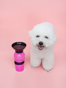 1pc Dog Outdoor Portable Water Bottle