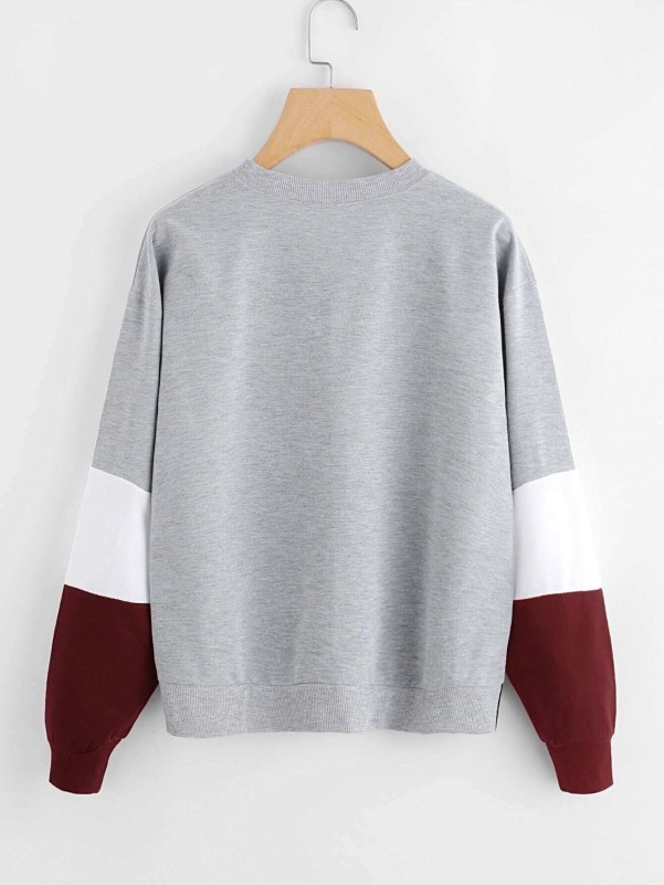 Cut And Sew Panel Drop Shoulder Sweatshirt