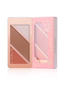 3 In 1 Contour Palette 03