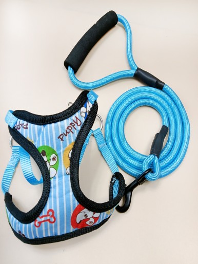 1pc Cartoon Graphic Pet Harness & 1pc Leash