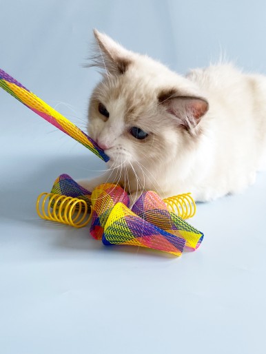 8pcs Cat Teaser Toy