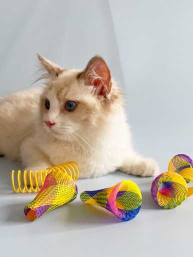 8pcs Cat Teaser Toy