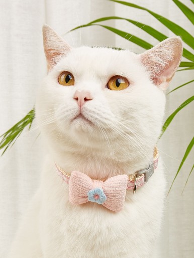 Bow & Flower Decor Pet Collar