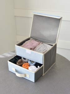 1pc Double Layer Underwear Storage Box