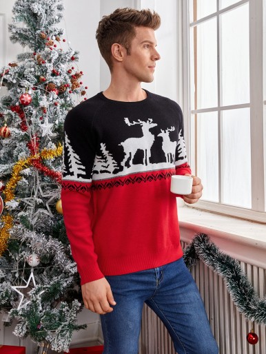 Men Colorblock & Deer Pattern Sweater