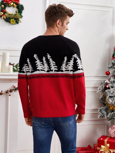 Men Colorblock & Deer Pattern Sweater