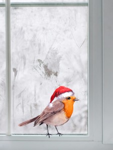 Christmas Bird Print Wall Sticker