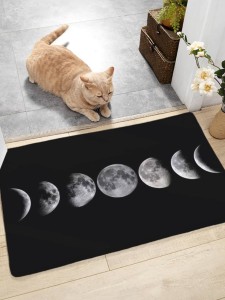 Moon Print Door Mat