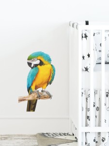 Kids Parrot Print Wall Sticker