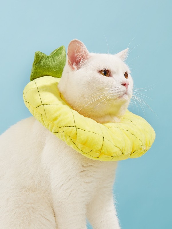 Pineapple Pet Recovery Collar