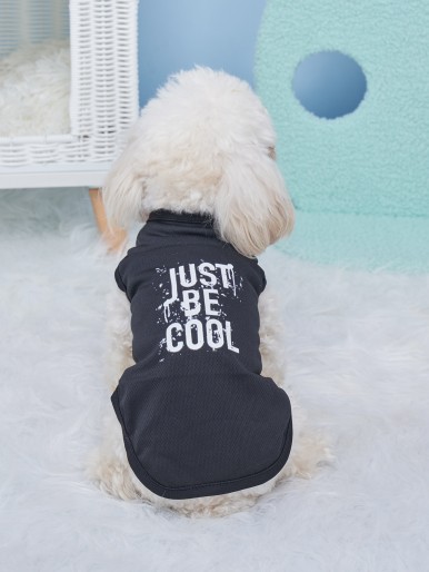 Slogan Graphic Pet Tank