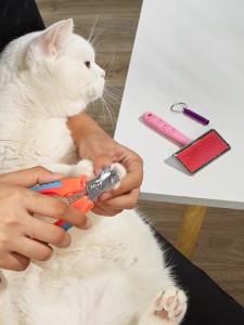 1set Random Pet Nail Clipper & Hair Comb