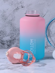 1pc Gradient Color Water Bottle