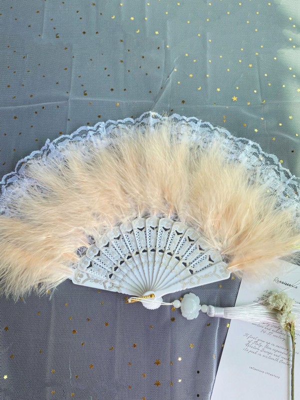 1pc Random Color Feather Hand Fan