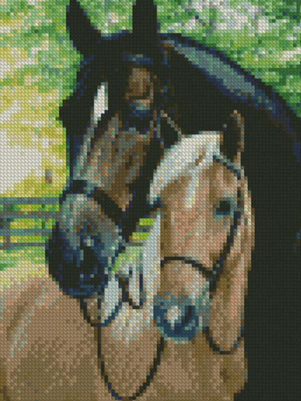 Horse Print DIY Diamond Unframed Painting