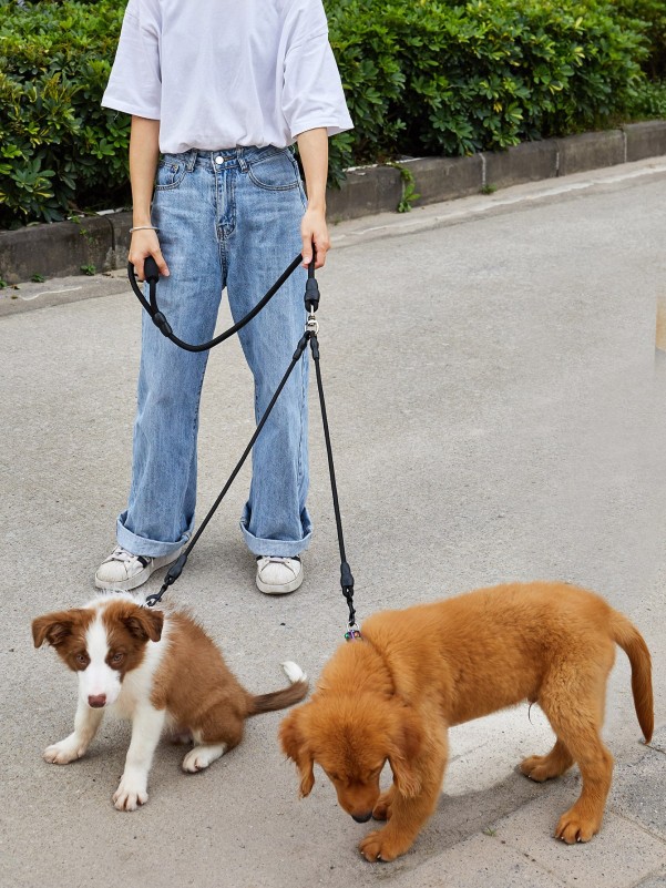 Plain Two Head Dog Leash