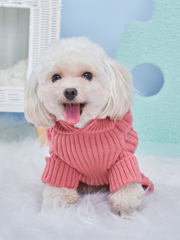 Plain Pet Knitted Sweater