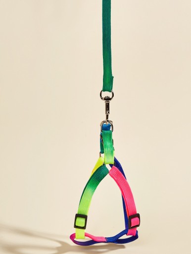 1pc Color Block Pet Harness & 1pc Pet Leash