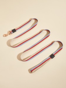 1pc Colorblock Pet Leash