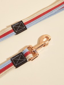 1pc Colorblock Pet Leash