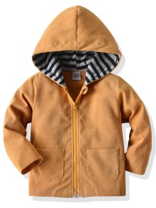 Toddler Boys Striped Lined Zip Up Hooded Jacket