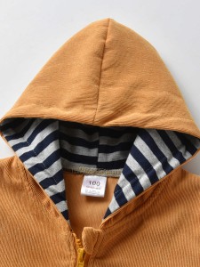 Toddler Boys Striped Lined Zip Up Hooded Jacket